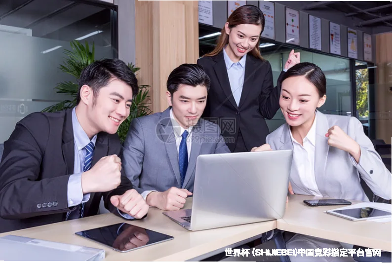 未来愿景：全球信赖伙伴